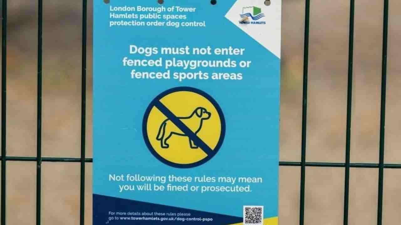 The-Council-of-Mosques